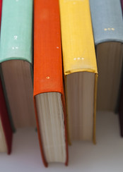 Colorful Book Spines