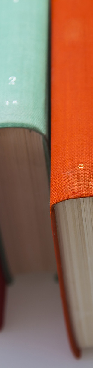 Colorful Book Spines