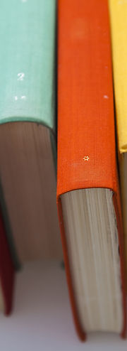Colorful Book Spines