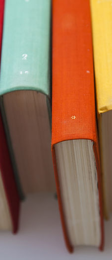 Colorful Book Spines