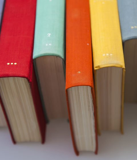 Colorful Book Spines