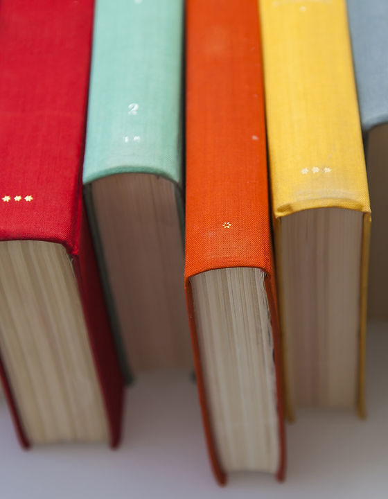 Colorful Book Spines