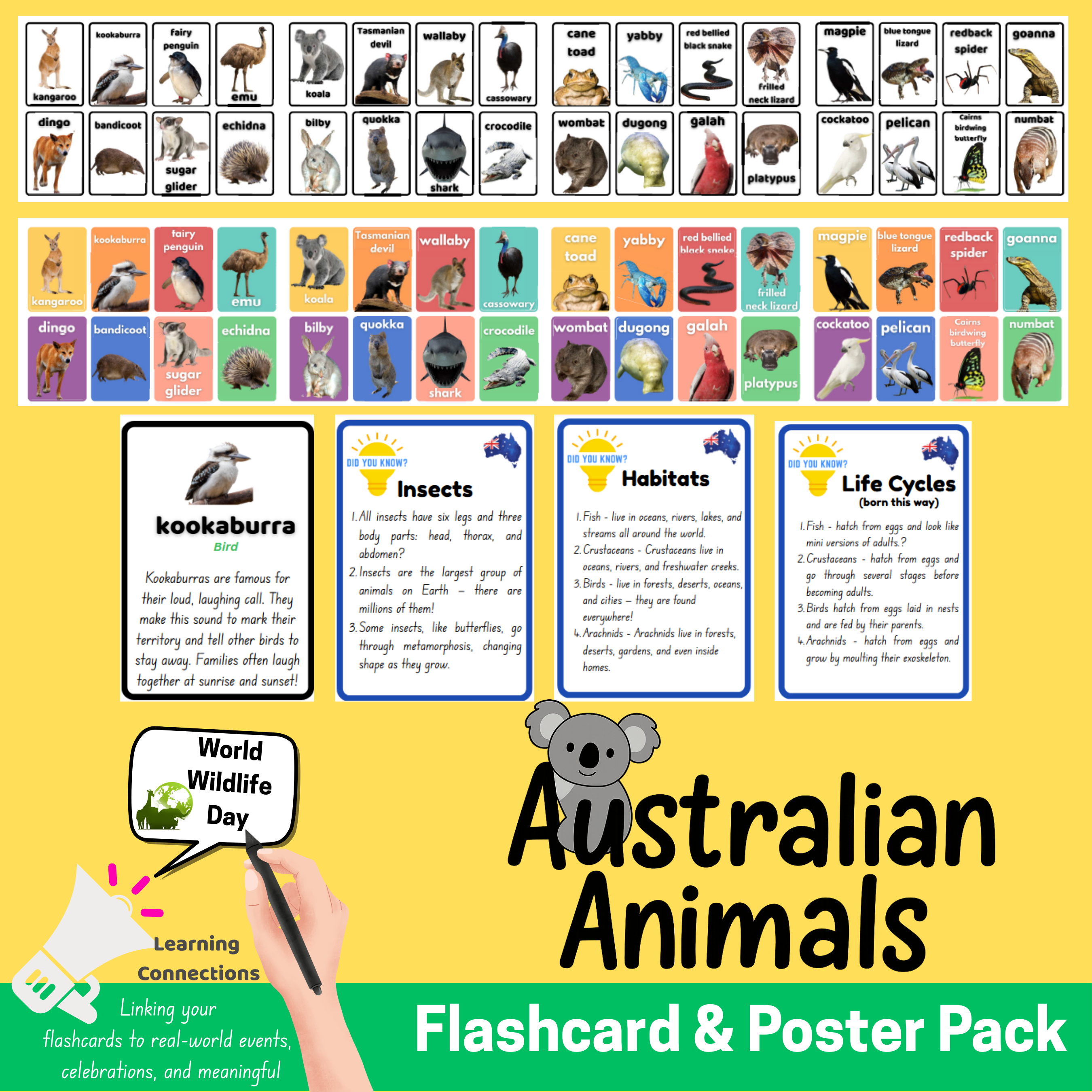 Australian Animals - Flashcard Pack
