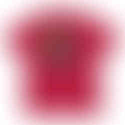 RZC Clothings PICKLEBACK design