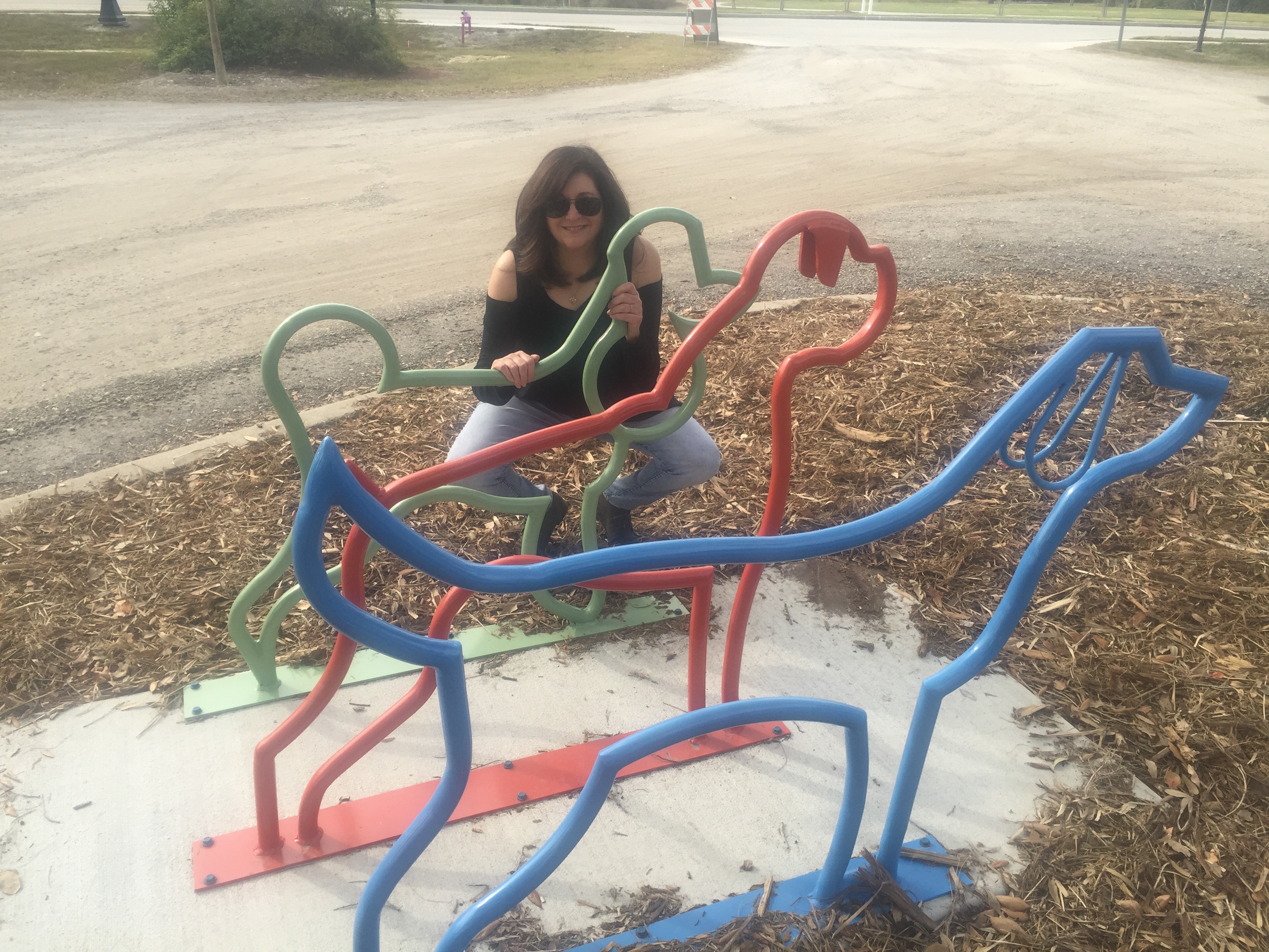 Tarpon Springs bike racks