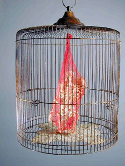 Ellen Hanauer_Love Birds