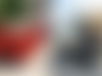 Junk Removal vs. Dumpster Rental: Which is Best for Your 2026 Project?