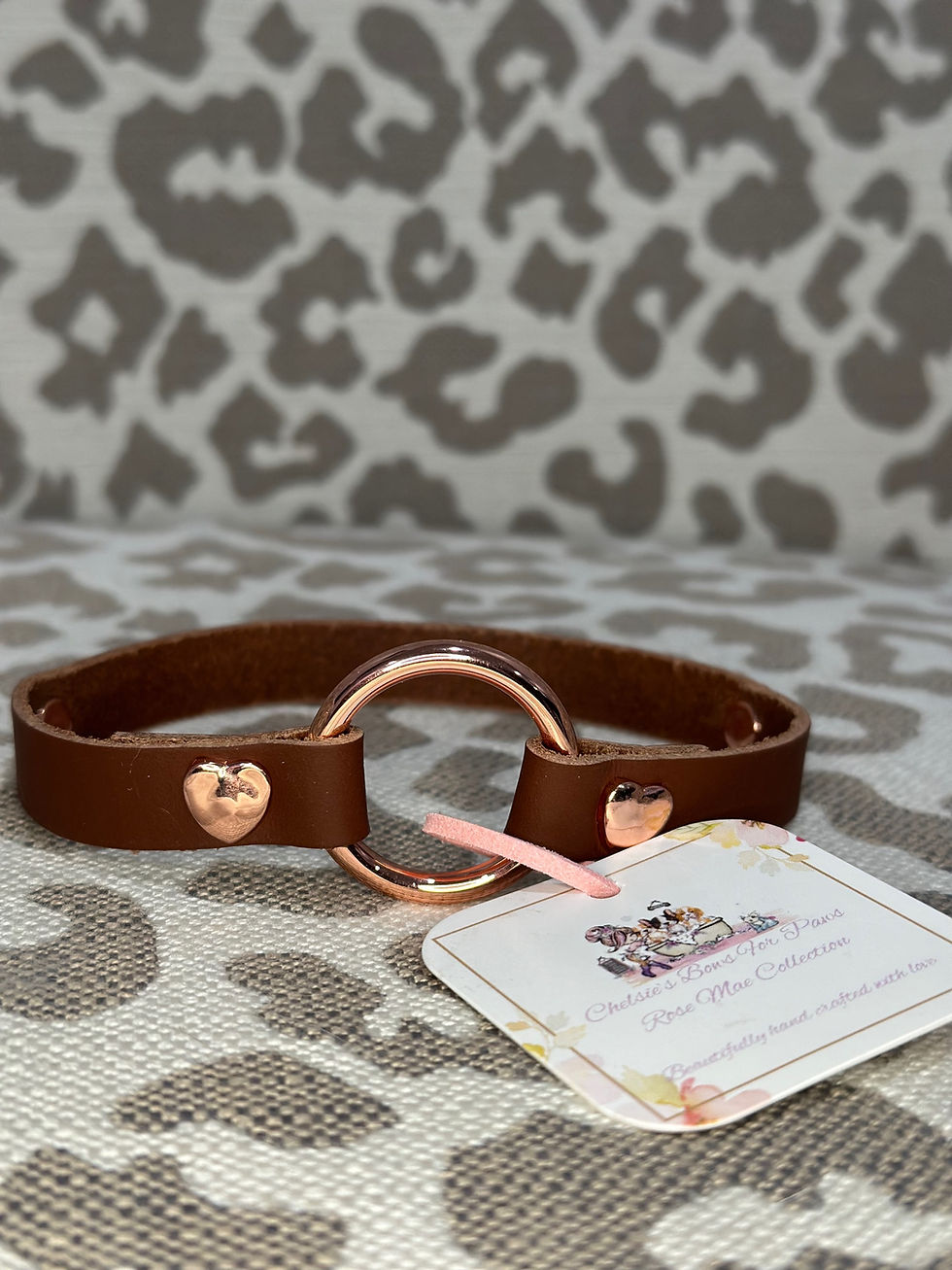 Thumbnail: Rose Mae Collection by Chelsie from bows for paws