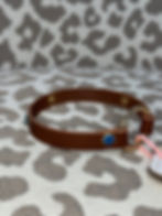Thumbnail: Rose Mae Collection by Chelsie from bows for paws
