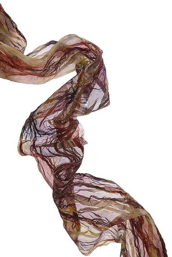 Textiles・Yuh_edited.png