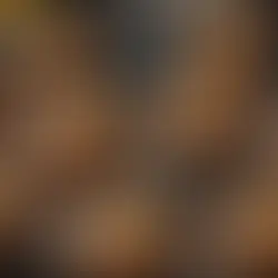 Protein Banana Bread Muffins with Raw Probiotics Recipe