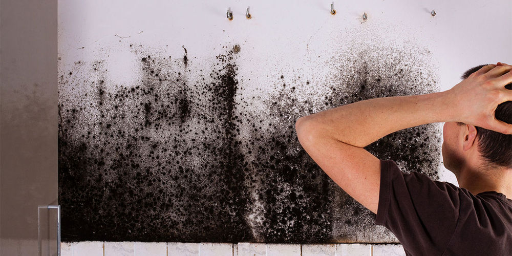 Mold Causes Brain Fog