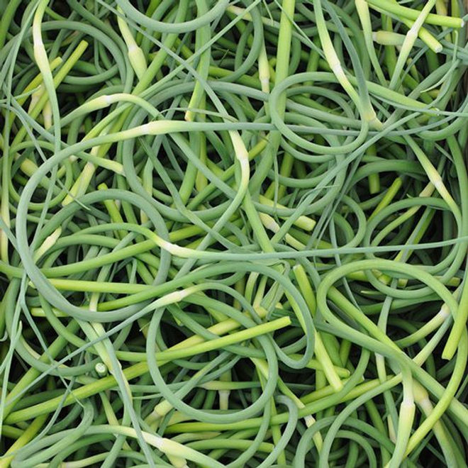 Everything You Need to Know About Garlic Scapes.jpeg