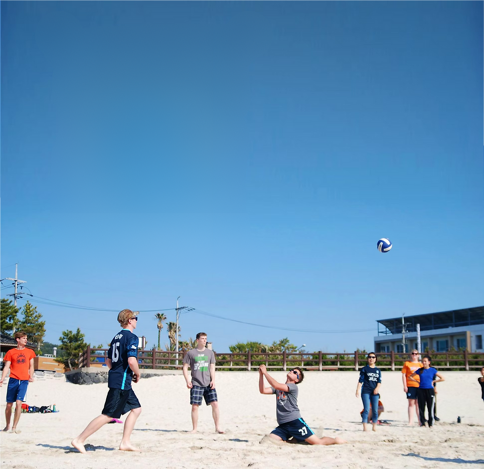 beach volleyball.png