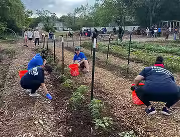 f5e2b4_40494345906a4285b951c8778fc36106~mv2 (1).avif