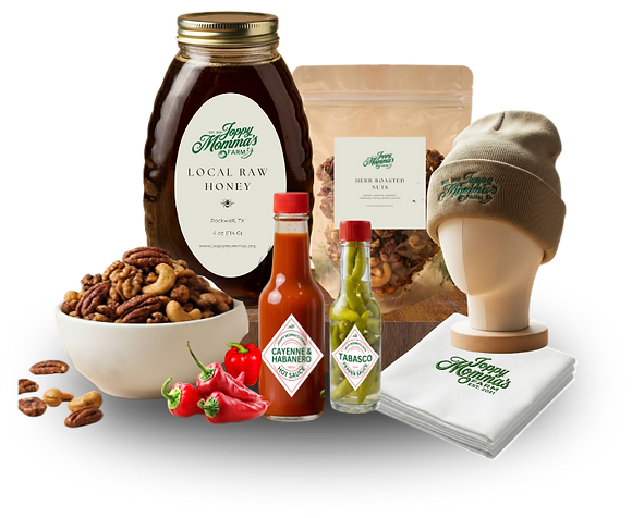 jOPPY MOMA WEBSITE ANIMATION.png