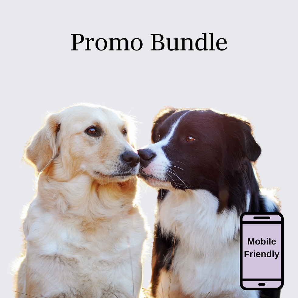 Promo Bundle (Mobile Friendly)