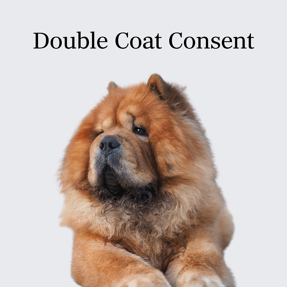 Double Coat Consent (Printable)