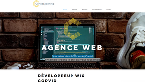 Améliorez le code de votre site Wix avec Ludo de Corvid agency