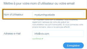 Problèmes de nom de domaine Wix (Résolu)