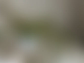 Eucalyptus Hill Reveal Part 02