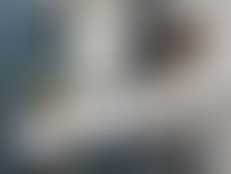 Eucalyptus Hill Reveal Part 03