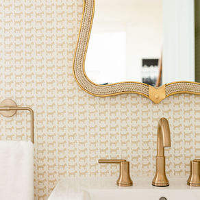 'Whole House Half House' Bath + Bar Reveal