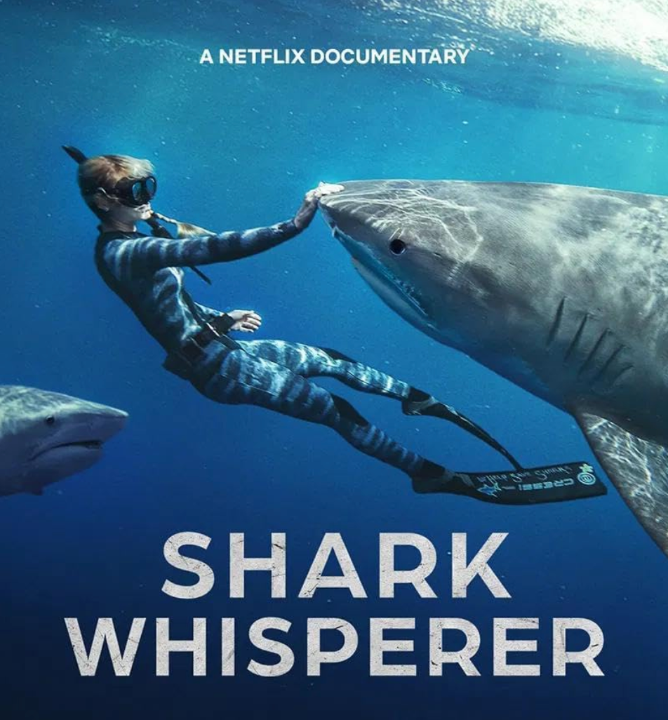 My Summer Show & Movie Faves by Nancy Lane Interiors featuring "Shark Whisperer" on Netflix