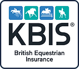 KBIS Logo.png