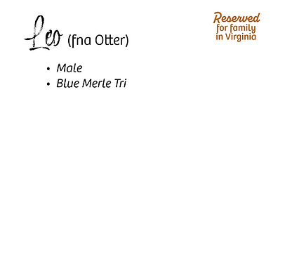 O Litter 01.09.26-89-Name & Description Info 10.06.25.png
