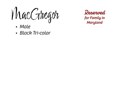 N Litter 09.26.25-28-Name & Description Info 10.06.25 (2).png