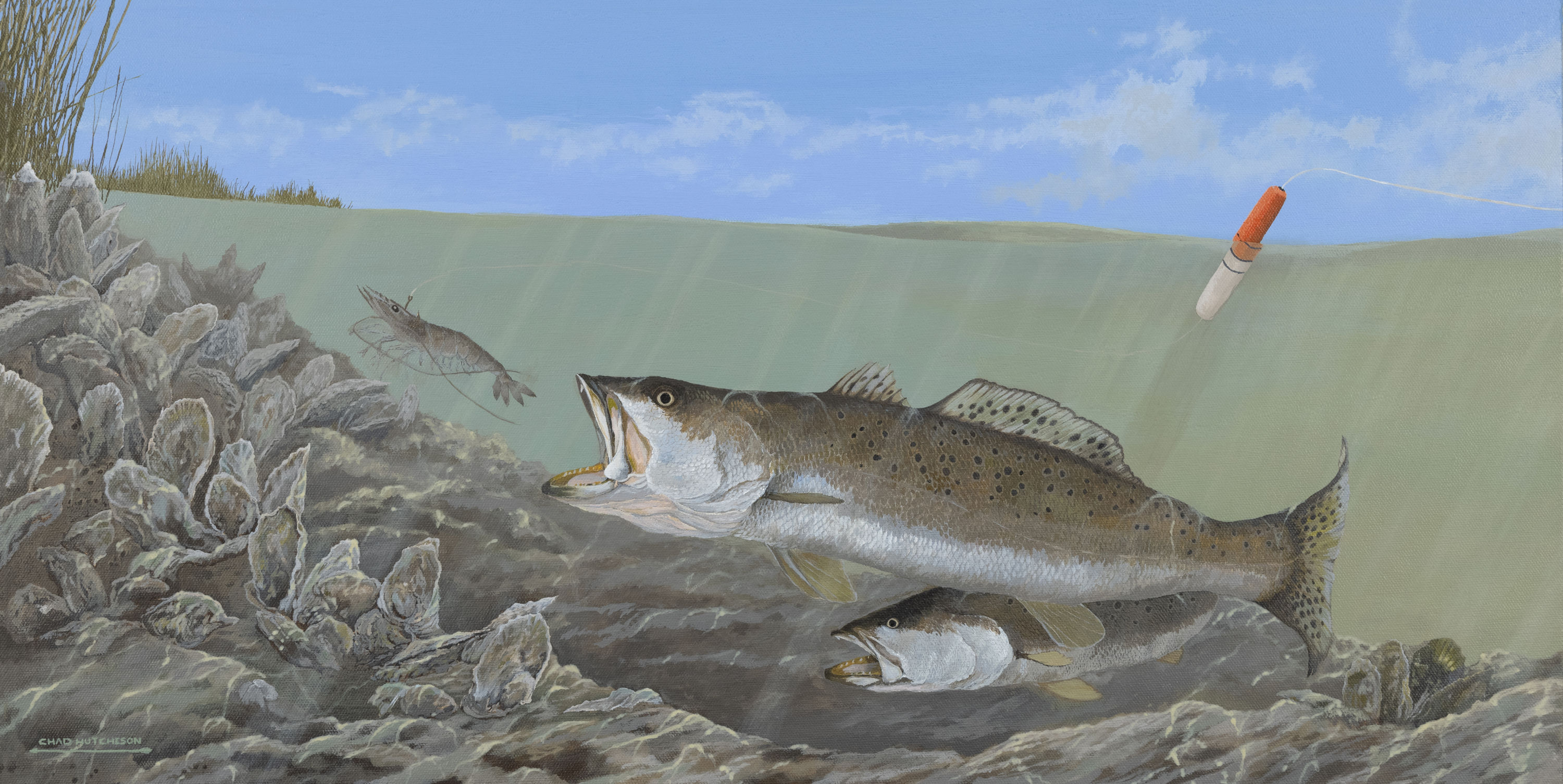 Shallow Strike - Acrylic on Canvas