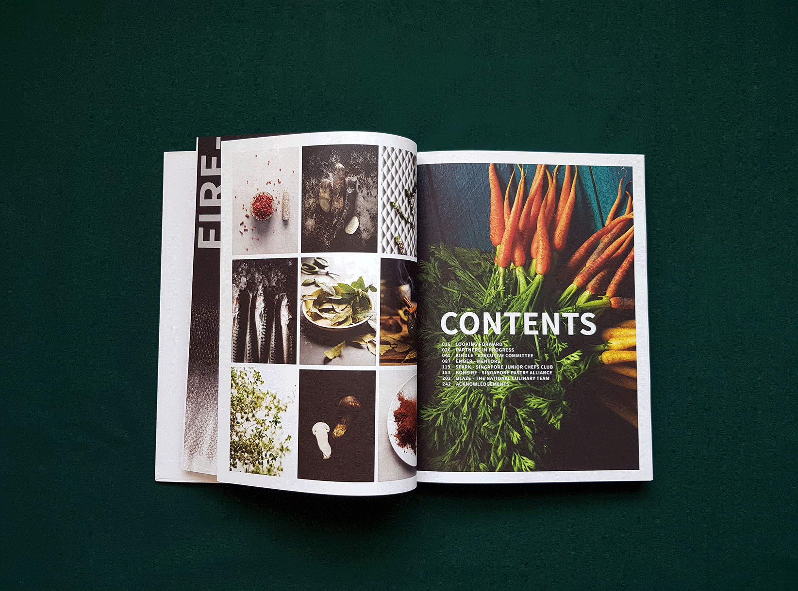 SCA-inside-pages.gif