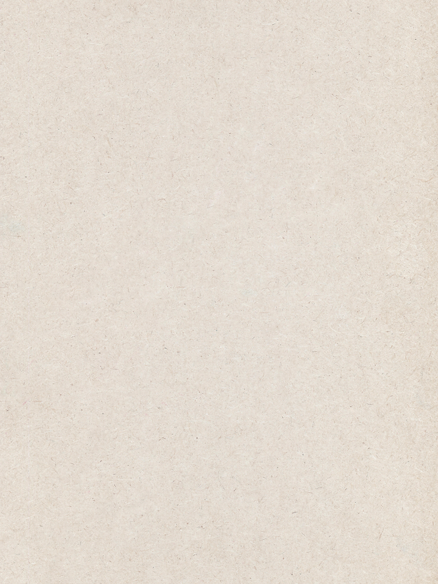 Neutral background 1.png