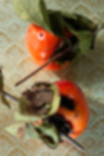Farmers Market-Persimmons Prep 2-1.jpg