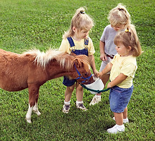 Kids with Pony