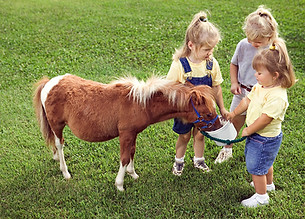 Kinder mit Pony