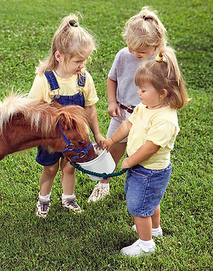 Kids with Pony