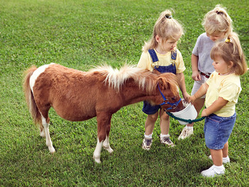 Kids with Pony