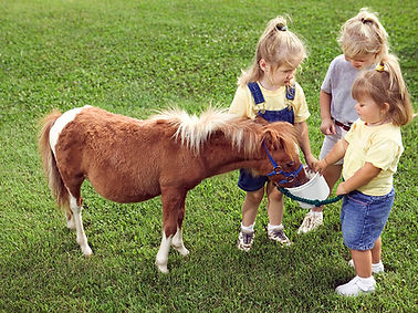 Kids with Pony