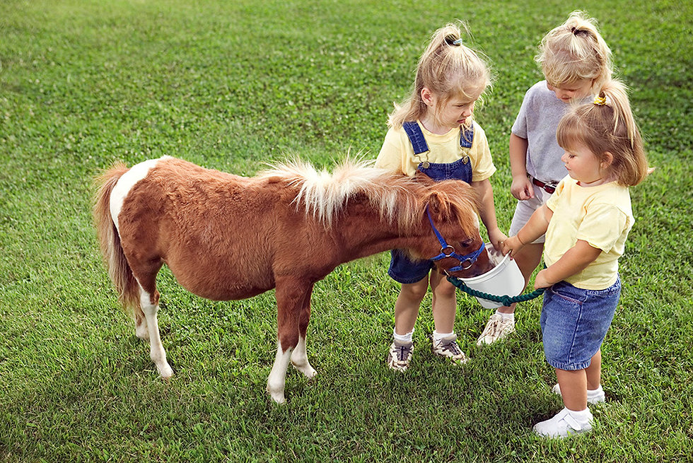 Kinder mit Pony