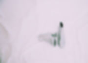 image00004.jpeg
