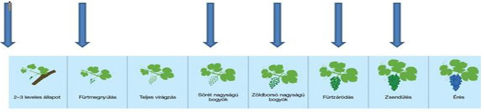 BIOPROTEKTOR 10.jpg