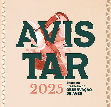Captura de tela 2025-05-12 184831.png