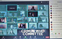 who committee.png