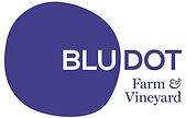 cropped-BLU-DOT_LOGO_2117-1.jpg