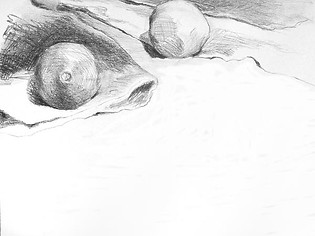 Two-Oranges-18x24-graphite-.jpg