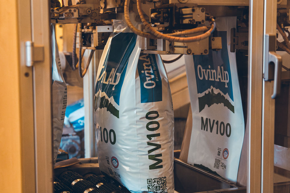 DSC03860-Enhanced-NR