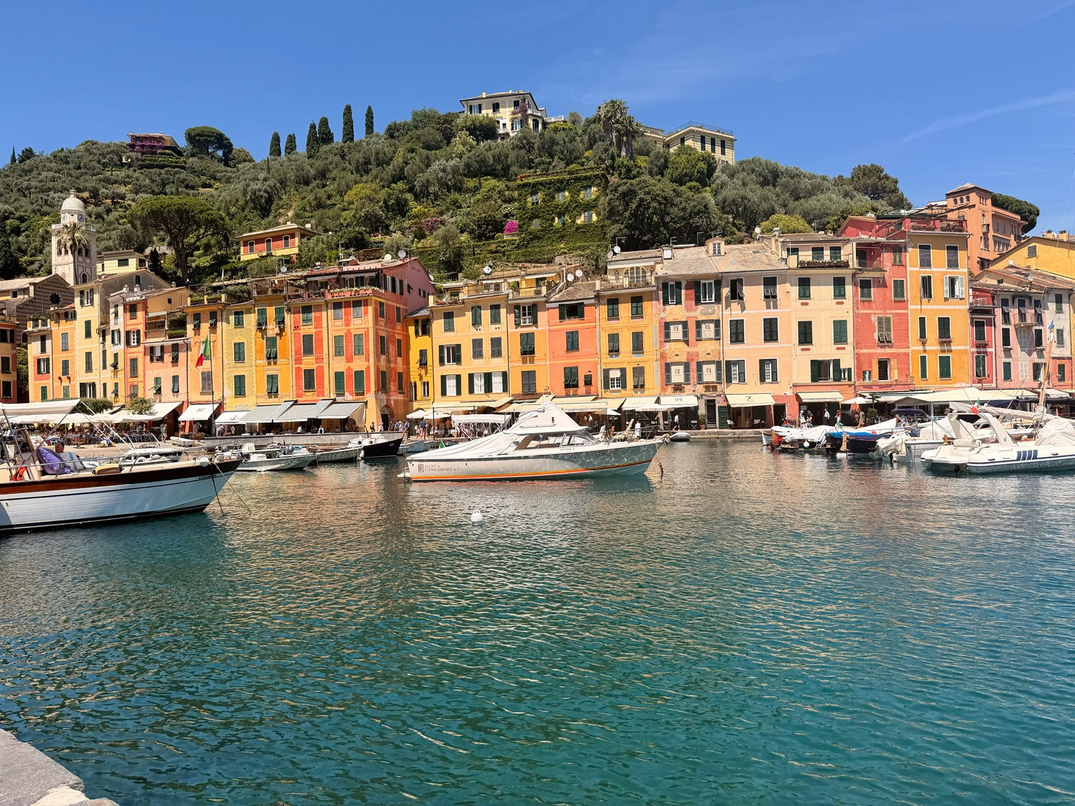 Complimentary Solo Women's Cruise Discovery Guide