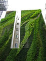 VERDE NOSSO DE CADA DIA: JARDINS VERTICAIS